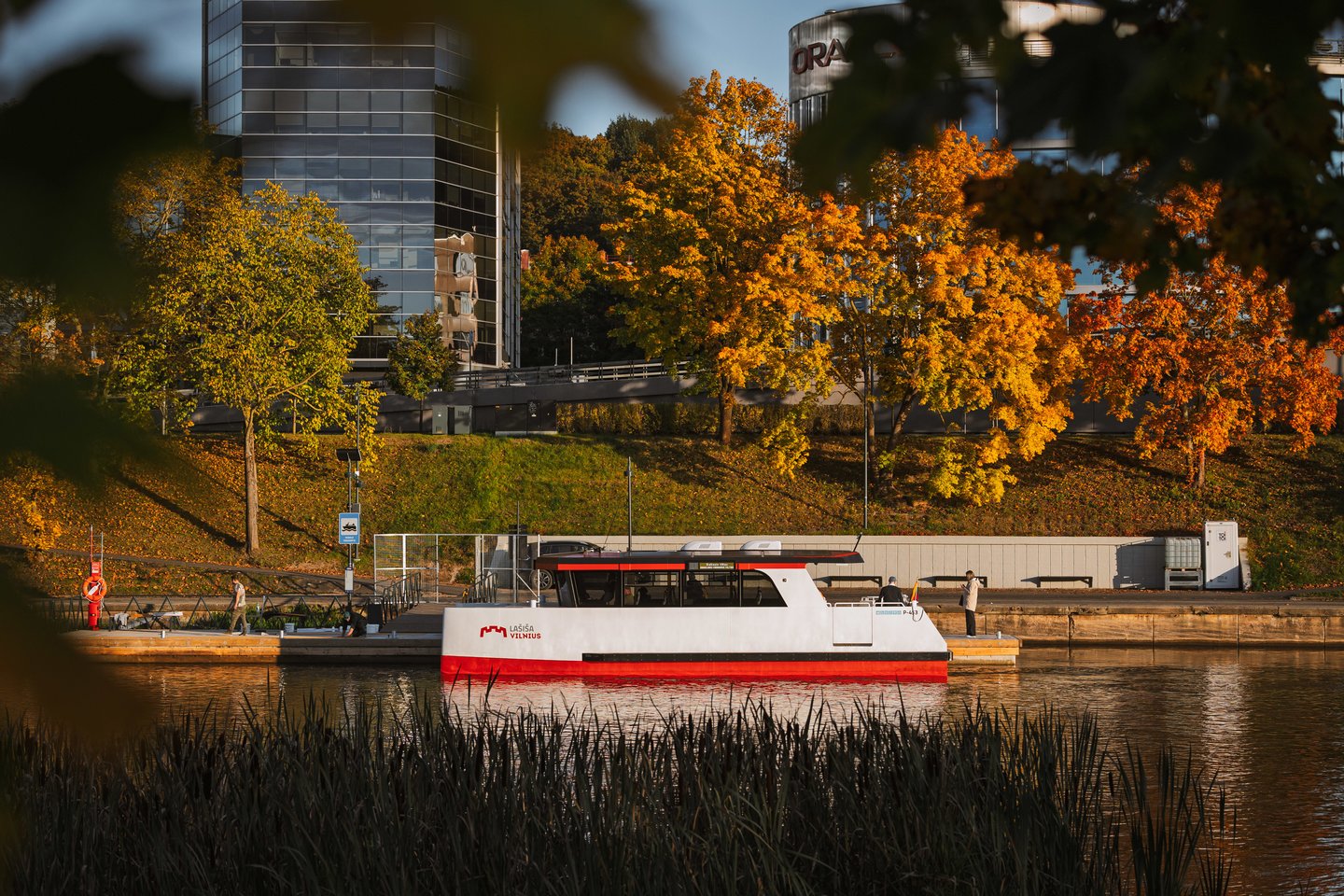 Auksinis ruduo Vilniuje. <br>A.Ufarto (ELTA) nuotr. 