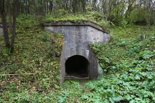 Kauno fortuose – daugybė paslapčių: tamsiuose tuneliuose knibždėte knibžda gyvybė