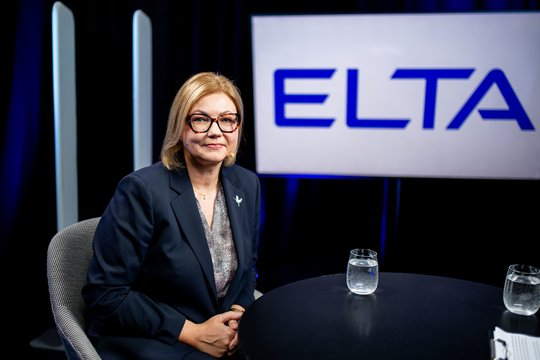 Seimo vicepirmininkė A. Norkienė: mažumos Vyriausybė būtų per didelė prabanga