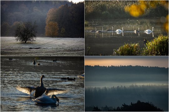 Užfiksavo rudenėjantį Pavilnių regioninio parko grožį: pamatykite