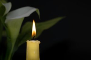 Skaudi netektis ekonomistų bendruomenėje: mirė nusipelnęs VU mokslų daktaras