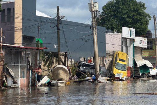 Smarkios liūtys Meksikoje pražudė 28 žmones