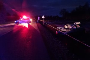 Girto kelių erelio nuotykiai Rokiškio krašte: taranavęs kitą automobilį, nulėkė į griovį