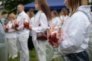 „Tušti narvai“ planuoja rengti ketvirtą protestą dėl be nuskausminamųjų kastruojamų paršelių 