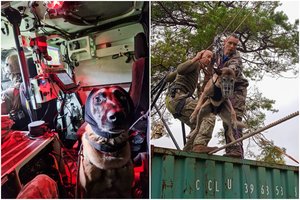 Prancūzijoje – Lietuvos išminuotojai su šunimis: rezultatai nustebimo