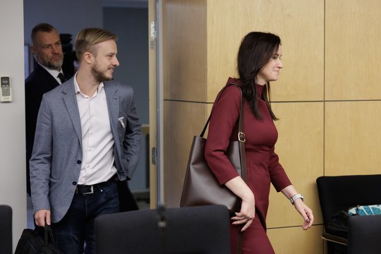 I. Ruginienės patarėjas kartoja: premjerė kandidato į kultūros ministrus ieškos pati