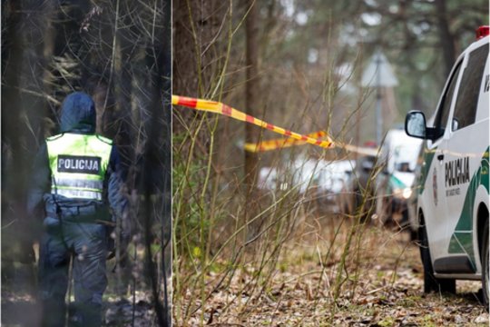 Paaiškėjo daugiau detalių apie poros iš Šiaulių mirtį: prie miško rastas jos automobilis 