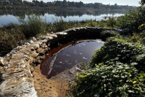 Kaunietį nustebino keistas radinys – paaiškino, kam jis reikalingas