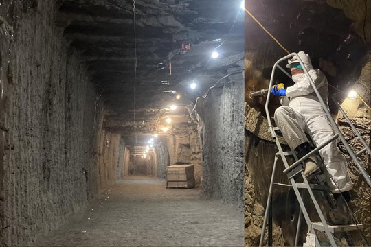 Mokslininkai pažadino senovinius mikrobus iš amžinojo įšalo – ir tai pademonstravo gąsdinančius rezultatus