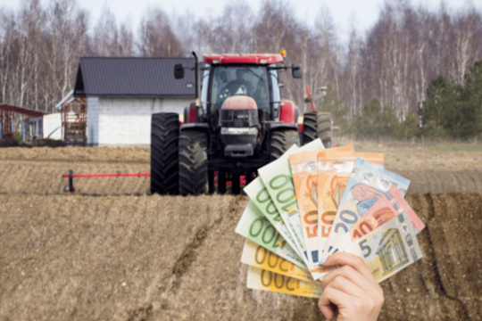 Ūkininkams – šimtai milijonų: pradėtos mokėti avansinės išmokos