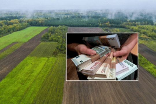 Šiaulietei – rimti įtarimai: iš dviejų žemės ūkio bendrovių galėjo pasisavinti 159 tūkst. eurų. 