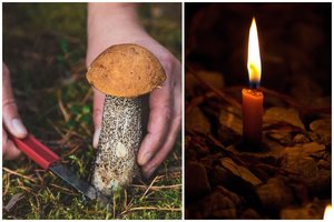 Siaubinga mirtis: Lenkijoje pagrybauti sustojusį sunkvežimio vairuotoją ištiko tragiškas likimas