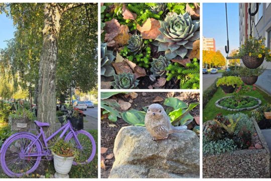 Pro šį daugiaubutį klaipėdiečiai tiesiog negali abejingai praeiti: Svetlana ten kuria stebuklus