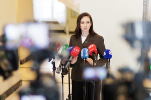 I. Ruginienė: neatsakinga kariuomenės vadui komentuoti gynybos biudžetą