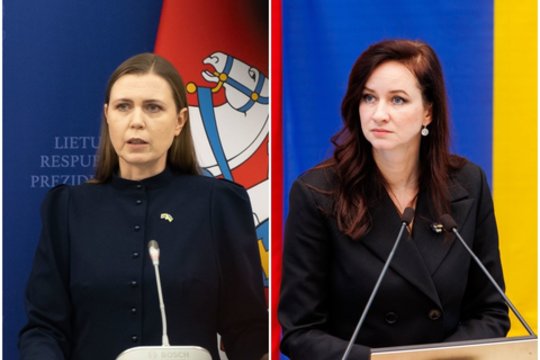 I. Ruginienės pyktis ir kaltinimai sabotažu: ar kliba D. Šakalienės kėdė?