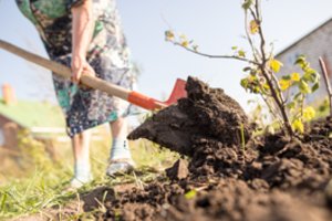 Vienas pakelis šių miltų – ir daržovių derlius kitąmet padidės dešimt kartų