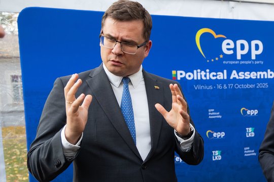 L. Kasčiūnas vadovaus ELP saugumo ir gynybos darbo grupei