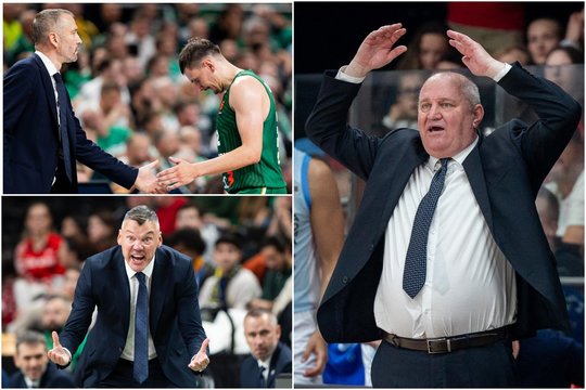 Po antrojo „Žalgirio“ pralaimėjimo pirštu į lietuvius bedęs V. Šeškus turėjo ką pasakyti ir apie Šaro braižą