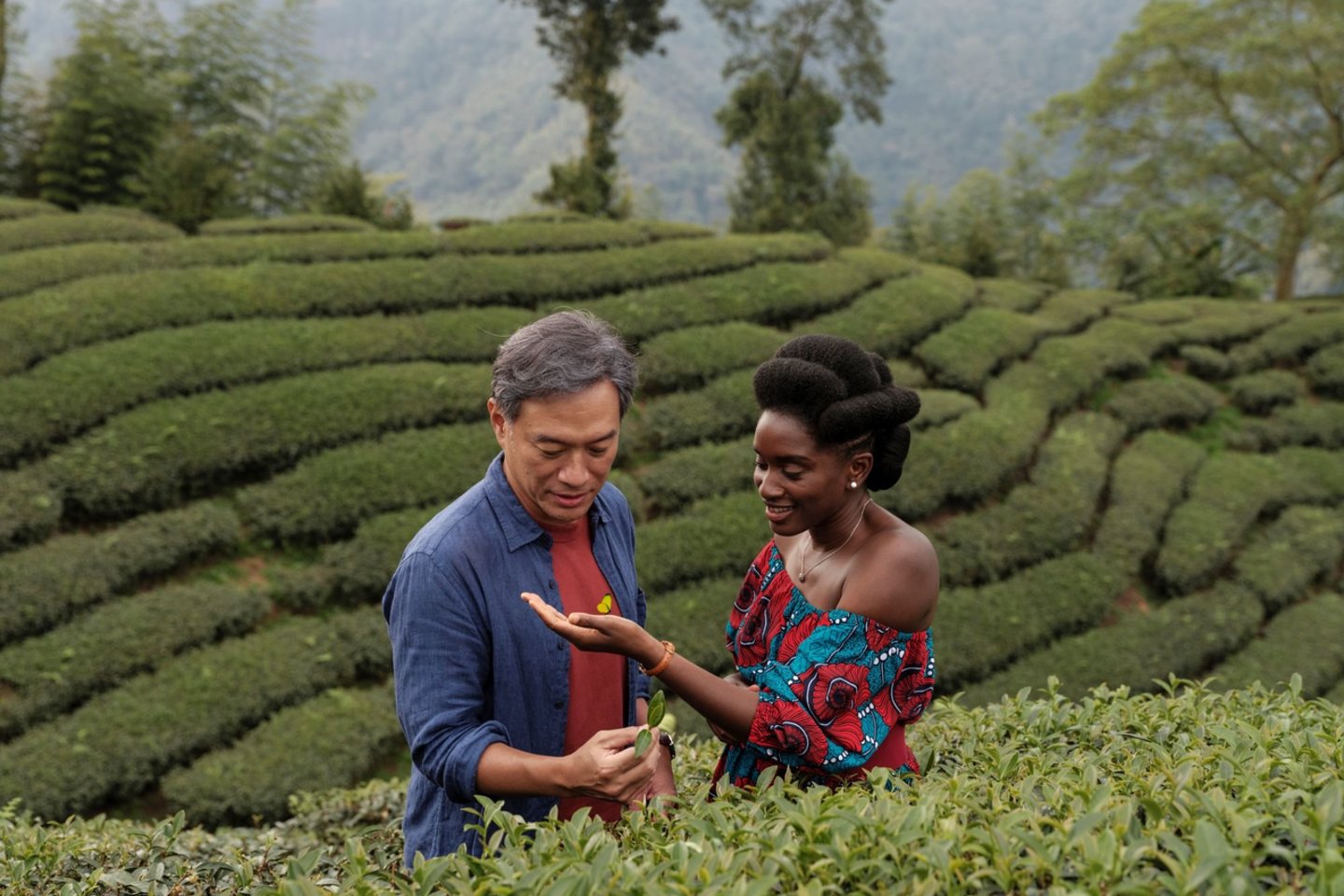 Filmo „Juodoji arbata“ kadras.