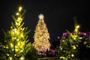 Kaune prasidės Kalėdos: žaliaskarė sužibs taip, kaip niekas dar neregėjo