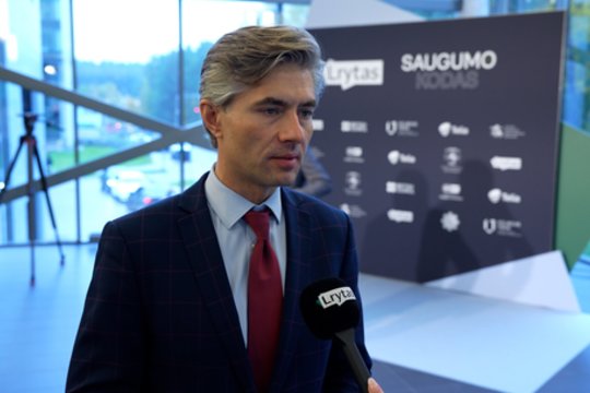 K. Budrys mato milžiniškas galimybes Lietuvai: tai ne vien karinė gynyba