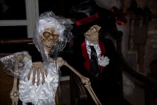 Bistrampolio šviesų festivalis „Vėlių naktys“: rudens paslaptys, šviesa tamsoje ir šiurpą keliantys potyriai