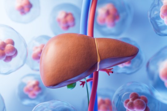 Klastinga kepenų liga skausmo nesukelia – gydytojai atskleidė simptomus, kurių nevalia ignoruoti
