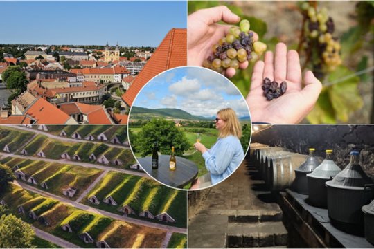 Tokajuje – Lietuvai skirtas parkas ir išskirtinio vyno gamyba: lietuvė įvardijo, ką pamatyti čia privalu