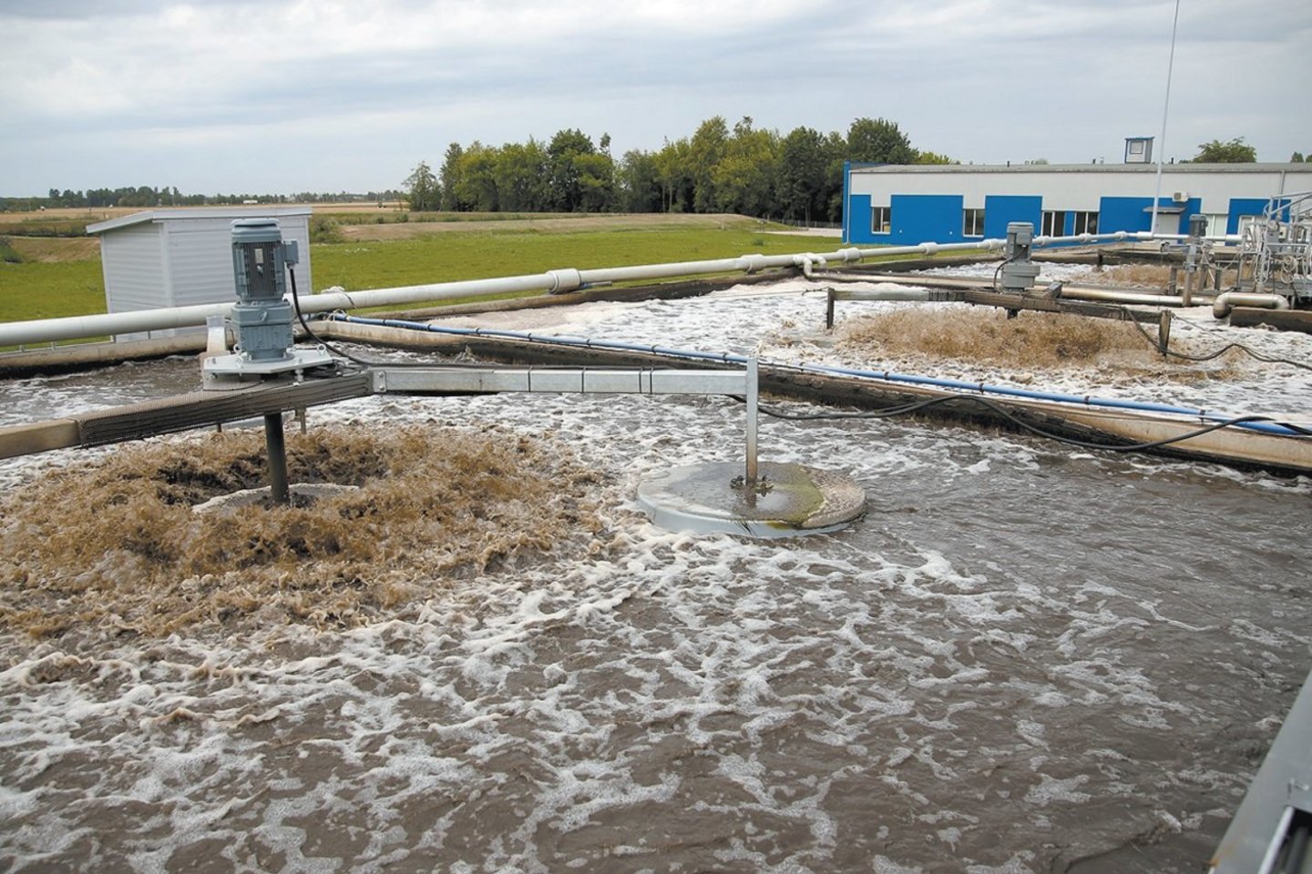 2023 m. pabaigoje aikštėn iškilusi negyvų šamukų „Kėdainių vandenų“ siurblinėje istorija.<br>A.Barzdžiaus/„Rinkos aikštės“ archyvo nuotr.