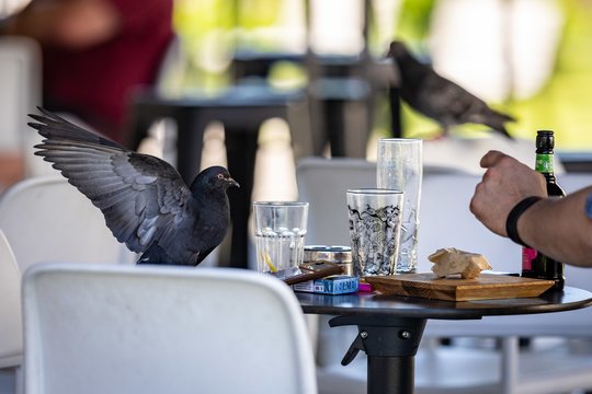 Apetitas kyla bevalgant: lietuviai nusiteikę keliauti, atostogauti ir uždirbti solidų atlyginimą