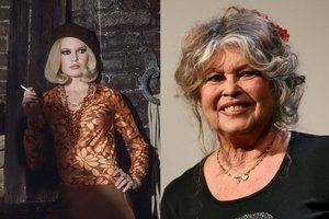 Aiškėja naujos detalės apie 91-erių Brigitte Bardot sveikatos būklę