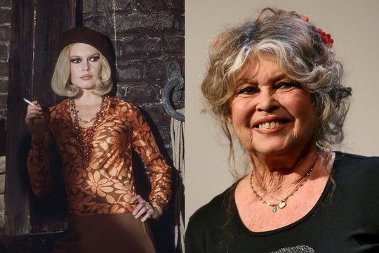 Aiškėja naujos detalės apie 91-erių Brigitte Bardot sveikatos būklę