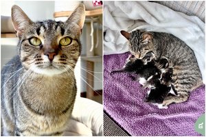 Į namus vaikučius išlydėjusi jauna mamytė ieško savo naujos šeimos: labai myli kitas kates