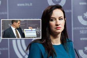 D. Šakalienės ir I. Ruginienės konflikto fone R. Žemaitaitis traukia dokumentus: paaiškinkite, kas čia per stebuklai