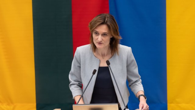 V. Čmilytė-Nielsen stebisi tokiu socialdemokratų elgesiu: dėl šios priežasties D. Šakalienė neturėtų netekti posto