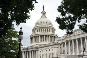 Riaušių prie Kapitolijaus dalyvis, gavęs D. Trumpo malonę, suimtas dėl grasinimų demokratams