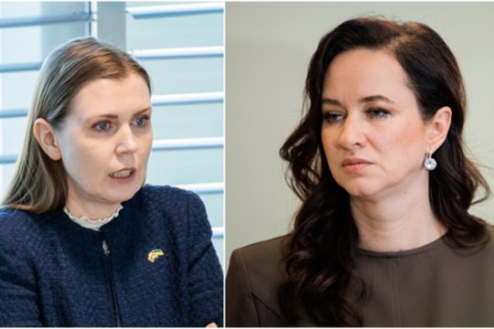 I. Ruginienė atskleidė, kas sugriovė pasitikėjimą D. Šakaliene: „Negaliu susitaikyti su tuo“