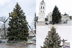 Aiškėja, kiek didieji miestai šiemet išleis Kalėdų eglėms 