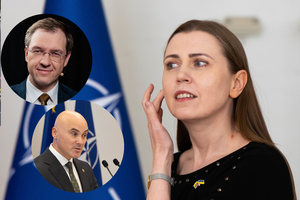 D. Šakalienė įvertino, kas galėtų ją pakeisti ministro pareigose