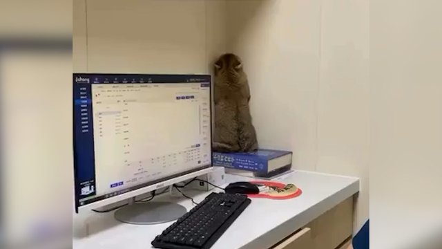 Kai nepatinka daktarai – tenka imtis kūrybiškumo: nusisukęs į sieną tikėjosi likti nepastebėtas