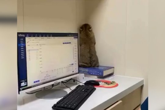 Kai nepatinka daktarai – tenka imtis kūrybiškumo: nusisukęs į sieną tikėjosi likti nepastebėtas