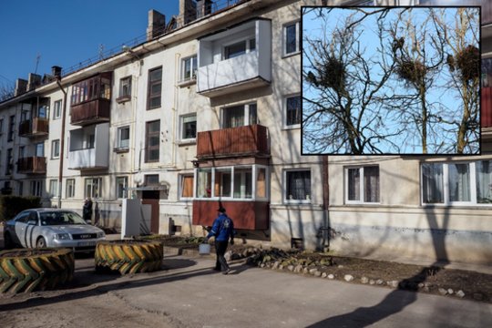 Gyventojai nebegali kęsti triukšmo, mini ir grėsmę vaikams, bet savivaldybė atrėžia: kaltė – ir pačių miestiečių