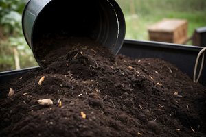 Kompostas subręsta kelis kartus greičiau – daugelis sodininkų apie šį triuką garsiai nekalba