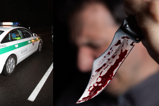 Broliai žudikai nudūrė ir močiutę, ir jos 6-metį anūką: „Siūlė narkotikus, o patys kūrė istorijas“