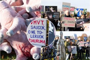 Aktyvistai surengė protestą prieš paršelių kastraciją be nuskausminamųjų: skambėjo raginimai VMVT vadovei