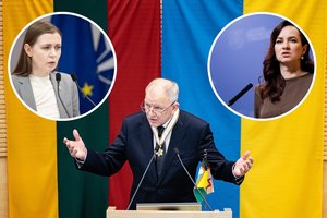 V. P. Andriukaitis įvardijo I. Ruginienės ir D. Šakalienės konflikto esmę: „Tai yra bobučių pasakos“