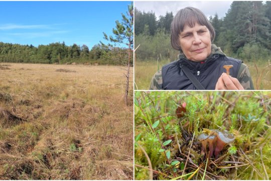 To Lietuvoje dar nebuvo – visoje Europoje jų randa tik vienetus: „Spanguoles rinkau ir pamačiau“