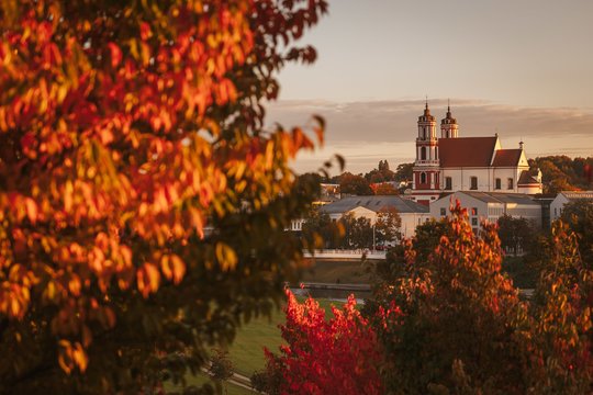 Paprastai ir aiškiai – kodėl medžių lapai rudenį keičia spalvą?