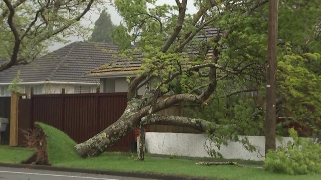 Naujoje Zelandijoje skelbiama nepaprastoji padėtis: atšaukti visi skrydžiai, žmonių prašoma vieno