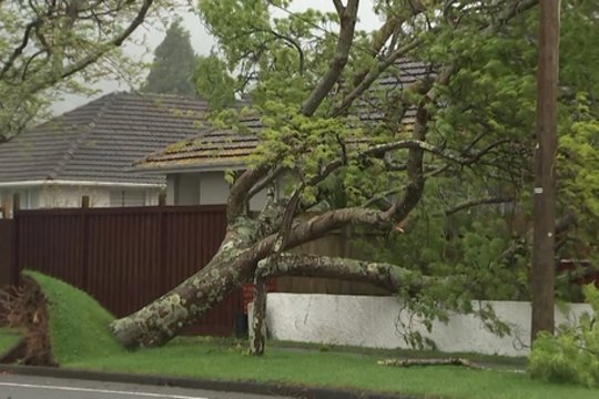 Naujoje Zelandijoje skelbiama nepaprastoji padėtis: atšaukti visi skrydžiai, žmonių prašoma vieno